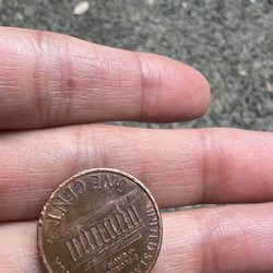Land Park Gold & Silver - 1994 d. Is the AM in America is very close