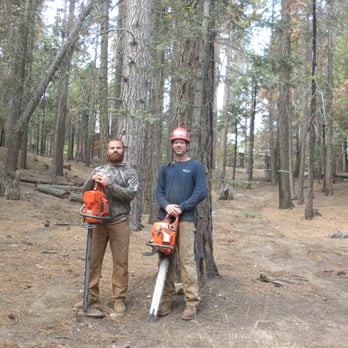 Clovis Tree Care - Owners/brothers David (left) and Jared (right) getting ready to fall Trees at Hume Lake, Ca - Tree Services Near Me - Clovis, California Clovis Tree Care - Owners/brothers David (left) and Jared (right) getting ready to fall Trees at Hume Lake, Ca - Tree Services Near Me - Clovis, California