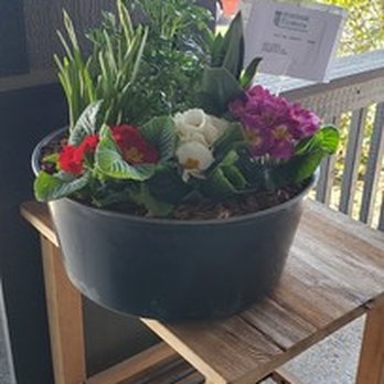 Stadium Flowers - Florists Near Me - Lynnwood, Washington Stadium Flowers - Florists Near Me - Lynnwood, Washington