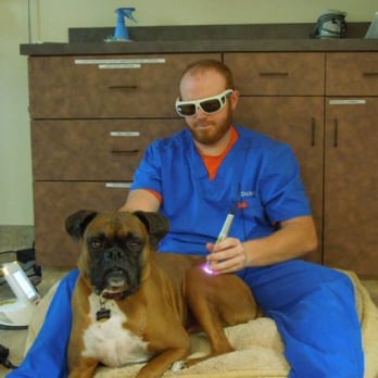 Stonebriar Veterinary Centre - Veterinarians Near Me - Frisco, Texas Stonebriar Veterinary Centre - Veterinarians Near Me - Frisco, Texas