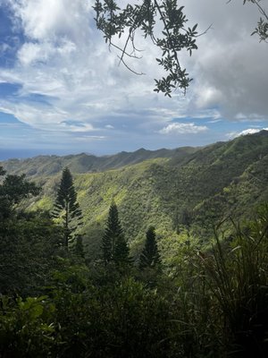 Kuli'ou'ou Valley Trail by null