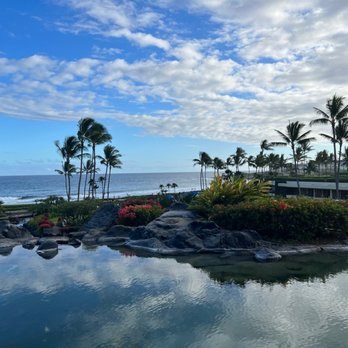 Seaview Terrace - Coffee & Tea Near Me - Poipu, Hawaii Seaview Terrace - Coffee & Tea Near Me - Poipu, Hawaii