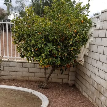 Inspirada Landscaping  - Landscaping Near Me