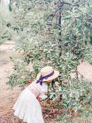 Stone Soup Farm & Heritage Orchard by null
