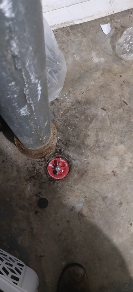 Slide of DW Drain Care