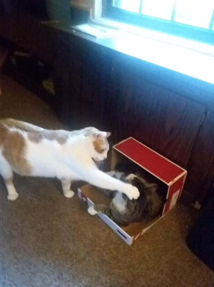 ANDOVER COURT APARTMENTS Apartments 5 Cardinal Ln, Athens, OH