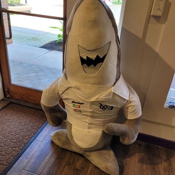 Sharkey's Cuts For Kids - Mascot - Kids Hair Salons Near Me - Avon, Connecticut Sharkey's Cuts For Kids - Mascot - Kids Hair Salons Near Me - Avon, Connecticut