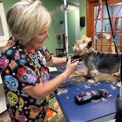 Tailblazers Pet Salon