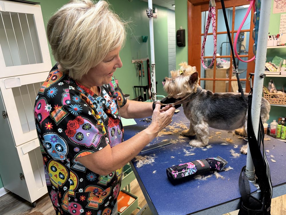 Tailblazers Pet Salon Image