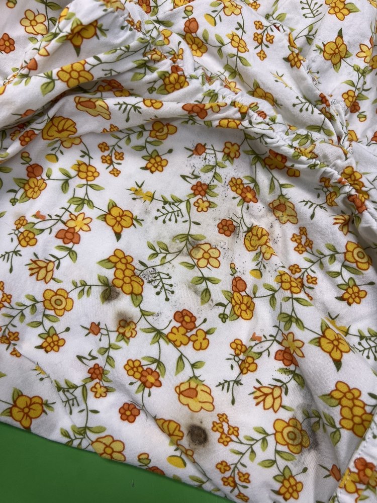 WASHATERIA Updated October 2024 5803 Barker Cypress Rd, Katy, Texas