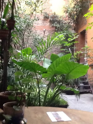 EL PATIO 77 by null