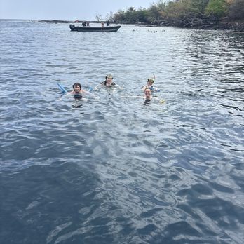 Dolphin Discoveries - Snorkeling site - Boat Tours Near Me - Kailua Kona, Hawaii