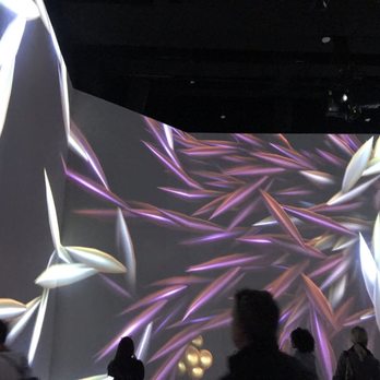 ARTECHOUSE DC - Art Galleries Near Me - Washington, DC, District of Columbia