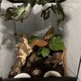 Photo of Deep Roots Nursery 