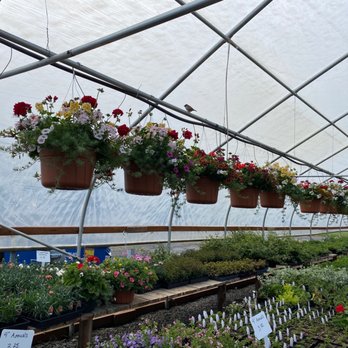 S & K Nursery - Nurseries & Gardening Near Me - Woodburn, Oregon S & K Nursery - Nurseries & Gardening Near Me - Woodburn, Oregon