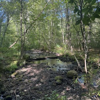 Ben Utter Trail - Hiking Near Me