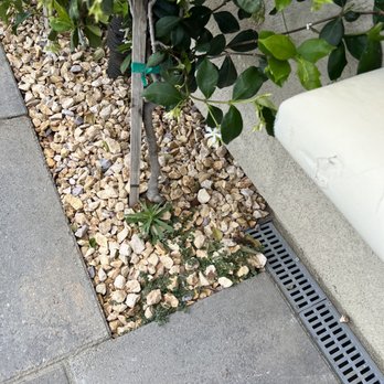 Picture Build - Weeds. Photo taken after Picture Build crew came out to our house. - Pool & Hot Tub Service Near Me - Sylmar, California Picture Build - Weeds. Photo taken after Picture Build crew came out to our house. - Pool & Hot Tub Service Near Me - Sylmar, California