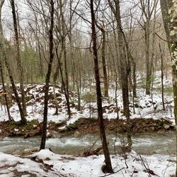 Cave Mountain Lake Recreation Area
