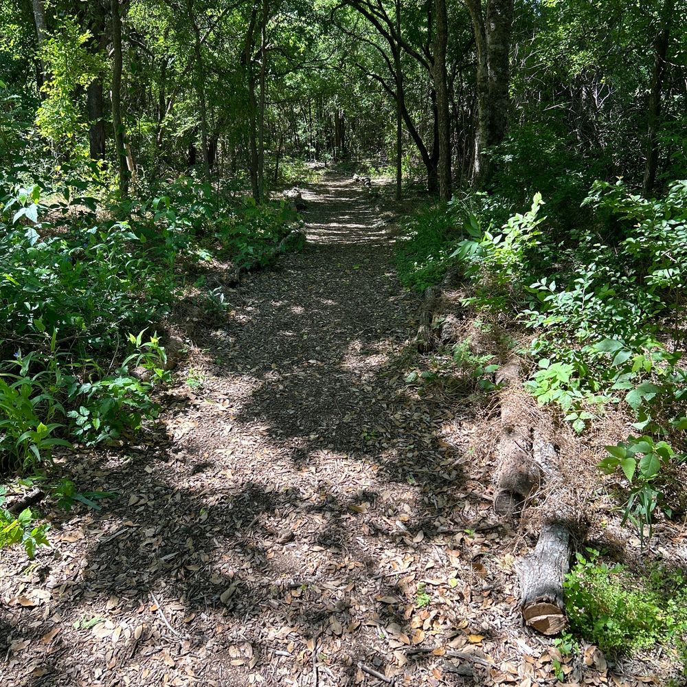 Kendra Page park - One of the primitive trails - Playgrounds Near Me - Austin, Texas Kendra Page park - One of the primitive trails - Playgrounds Near Me - Austin, Texas