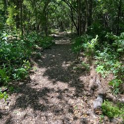 Kendra Page park - One of the primitive trails