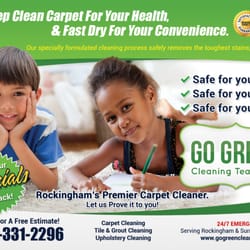 Go Green Cleaning Team