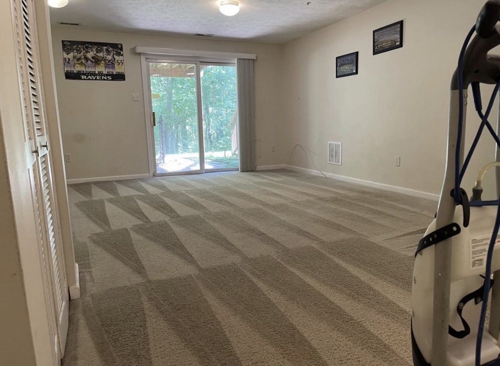 SOCAL CARPET CLEANING Updated May 2024 44 Photos & 55 Reviews