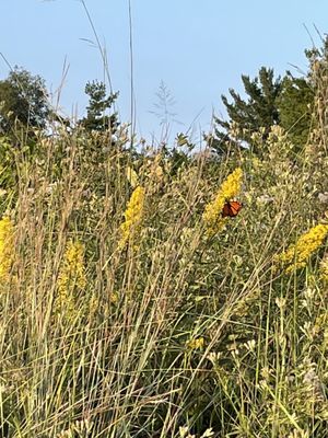 Indiana Dunes Visitor Center by null