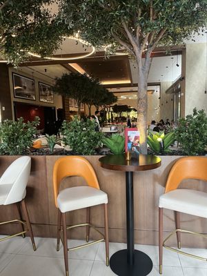 Serafina Downtown Miami | Italian Restaurant & Wine Bar by null