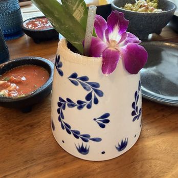 Agave Azul Cocina Mexicana - Windermere - Margarita - Mexican Near Me - Windermere, Florida Agave Azul Cocina Mexicana - Windermere - Margarita - Mexican Near Me - Windermere, Florida