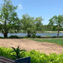 View from our table