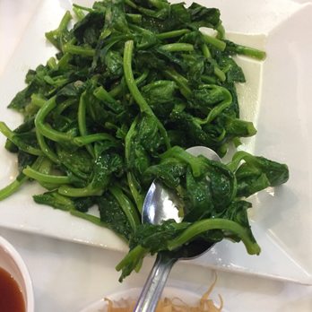 Ocean Palace - Pea shoots - Dim Sum Near Me - Houston, Texas