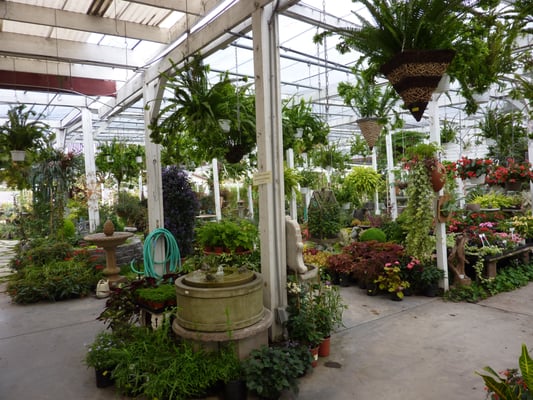 M Nursery 110 Photos 68 Reviews Nurseries Gardening Nurseries Gardening