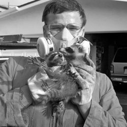 All City Animal Trapping