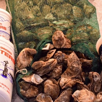 Pat's Seafood & Cajun Deli - a bag of oysters and a container of oysters - Seafood Markets Near Me - Covington, Louisiana Pat's Seafood & Cajun Deli - a bag of oysters and a container of oysters - Seafood Markets Near Me - Covington, Louisiana