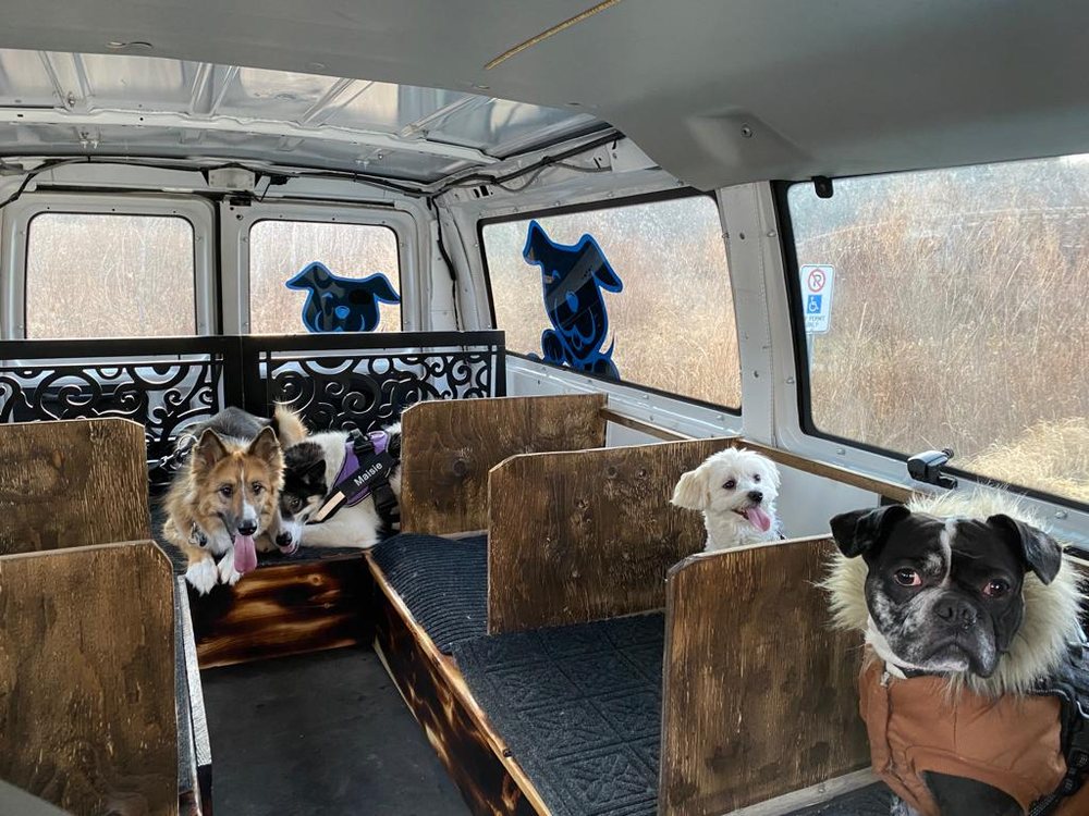 PUP EXPRESS Updated May 2024 Request a Quote Oakville, Ontario