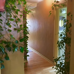 Amaya Natural Therapeutics