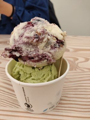 Elephant Garden Creamery by null