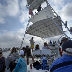 Dolphin Cruises Aboard the Cold Mil Fleet
