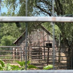 Bloom Hill Farm - Another farm building