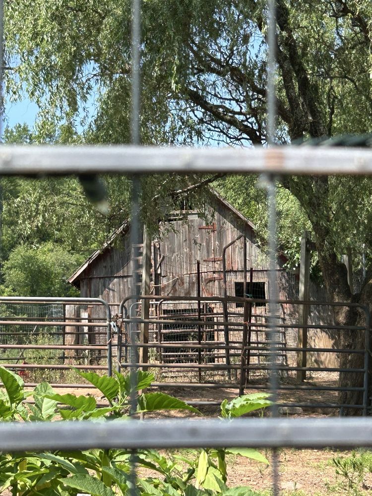 Bloom Hill Farm Logo