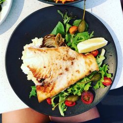 Penny Whistlers - Barramundi