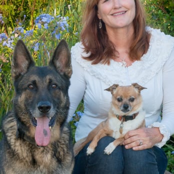 Dogtown K9 Training - Pet Training Near Me