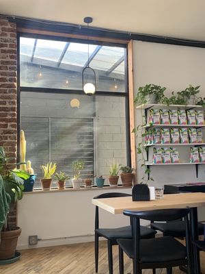 Kainos Coffee by null