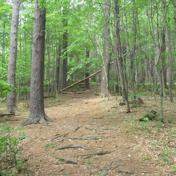 Frances Slocum State Park - Forest shot off the Francis Slocum trail. - Hiking Near Me - Wyoming, Pennsylvania Frances Slocum State Park - Forest shot off the Francis Slocum trail. - Hiking Near Me - Wyoming, Pennsylvania