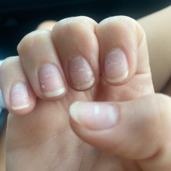 Elegant Nail Salon - Nail Salons Near Me - Gainesville, Florida Elegant Nail Salon - Nail Salons Near Me - Gainesville, Florida