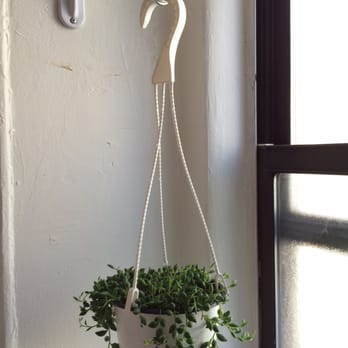 Joy's Flowers Pot - "String of beads" basket hanging in my bathroom. - Florists Near Me - New York, New York