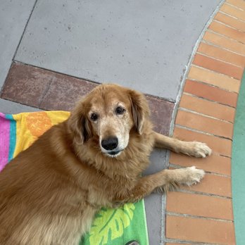Rancho Guejito Vineyard - Holly girl - Wine Tasting Room Near Me - Escondido, California Rancho Guejito Vineyard - Holly girl - Wine Tasting Room Near Me - Escondido, California