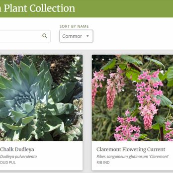 Living Garden Design - We create custom Plant Collections that bring a designed look to any garden. - Gardeners Near Me - Castro Valley, California Living Garden Design - We create custom Plant Collections that bring a designed look to any garden. - Gardeners Near Me - Castro Valley, California