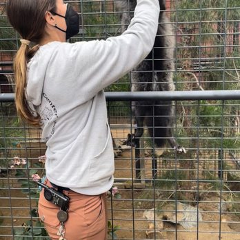 Wildlife Learning Center - Zoos Near Me - Sylmar, California