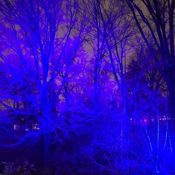 Winterlights at Newfields - Festivals Near Me - Indianapolis, Indiana Winterlights at Newfields - Festivals Near Me - Indianapolis, Indiana